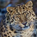 ���� �����, ��������, 30 ��� - ��������� 14 ������ 2025 � ������ ���� ����������