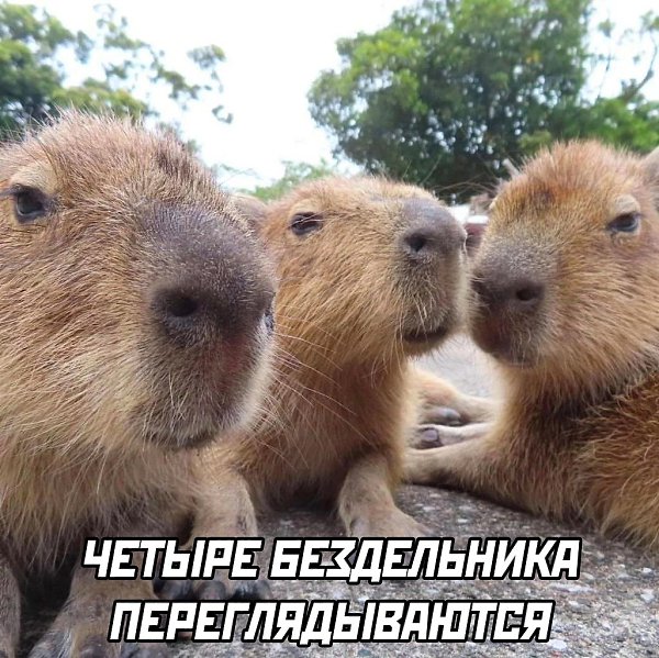  - 20  2024  01:52