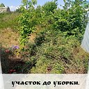 ���� ��������, ������-��-����, 38 ��� - ��������� 18 ������� 2026 � ������ ������ ��������