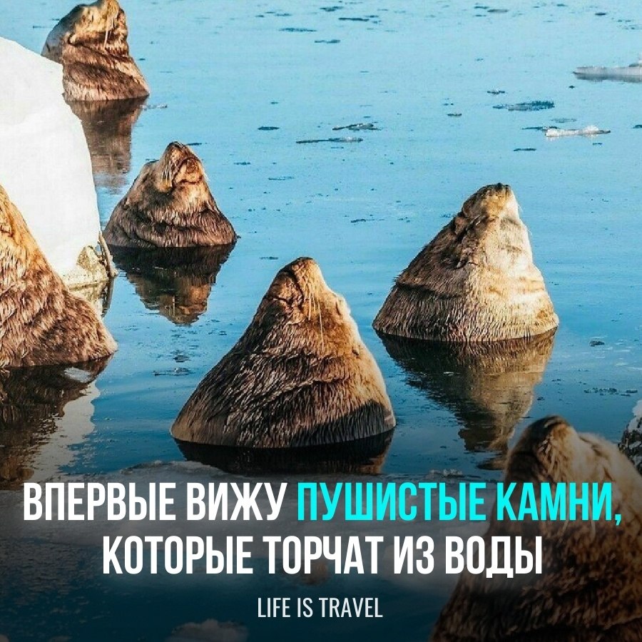      -     -  ...
