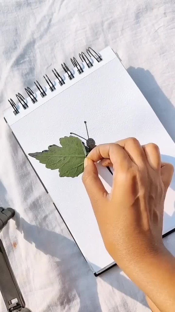 �o��ae� �pe�pac�oe.����� �������