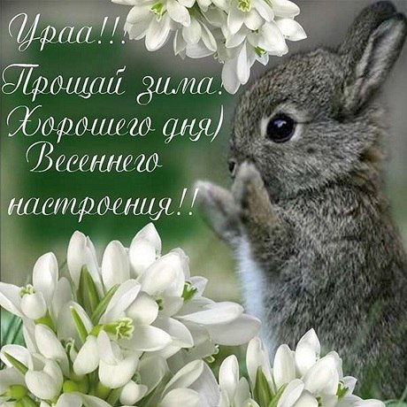Nika - 28  2025  21:58