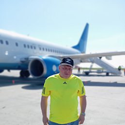 , 51,  