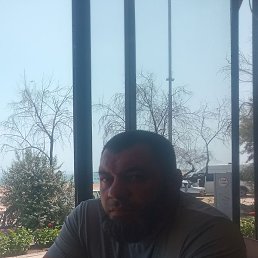 �����, ����, 46 ���