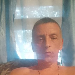  , 44 , 