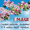 ���� ����, �������� - ��������� 1 ��� 2026 � ������ ������ ��������