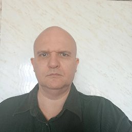, 51 , 