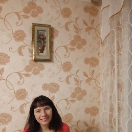 ���� ������, ������, 41 ��� - ��������� 5 ����� 2024