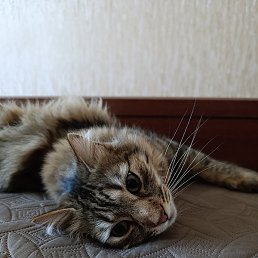 Natali, ����, 53 ����