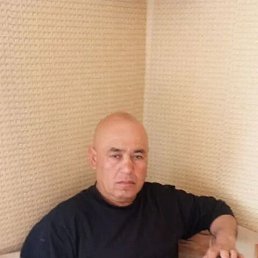 , 52, 