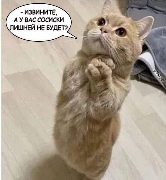 ��� ���� � ����� �� �� - 10 ���� 2026 � 23:25