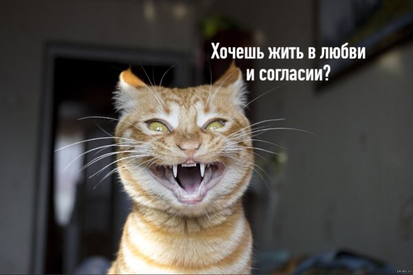 =>