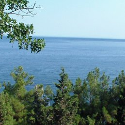 ���������, �����������, 65 ���