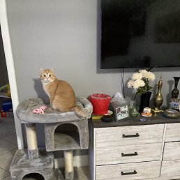 ���� �������, ���������, 61 ��� - ��������� 23 ������� 2024