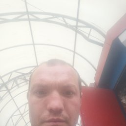 , 36, 