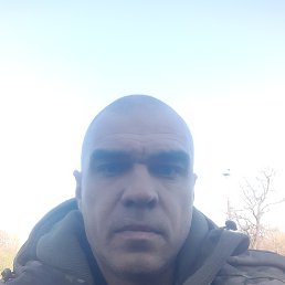 , 49, 