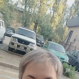 , 44, 