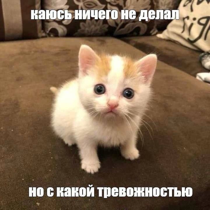     .    ,       ...
