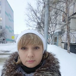 ���� �����, ��������, 44 ���� - ��������� 24 ������ 2026