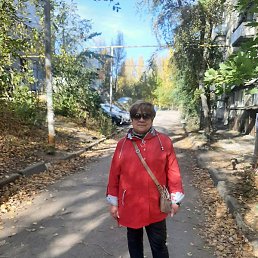 ������, �������, 66 ���