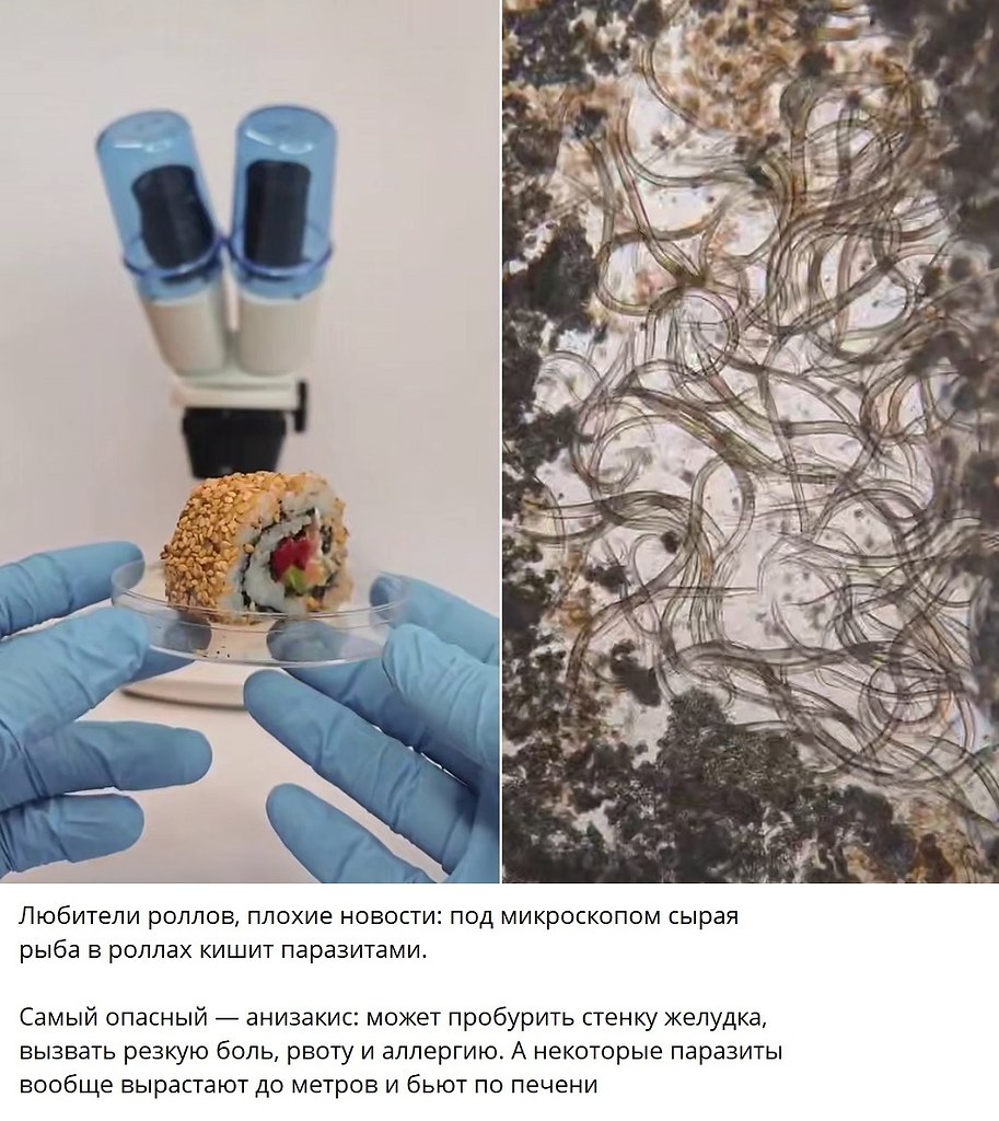 ОБО ВСЕМ - 29 сентября 2025 в 18:20