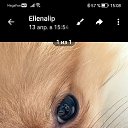  ,  -  10  2025    