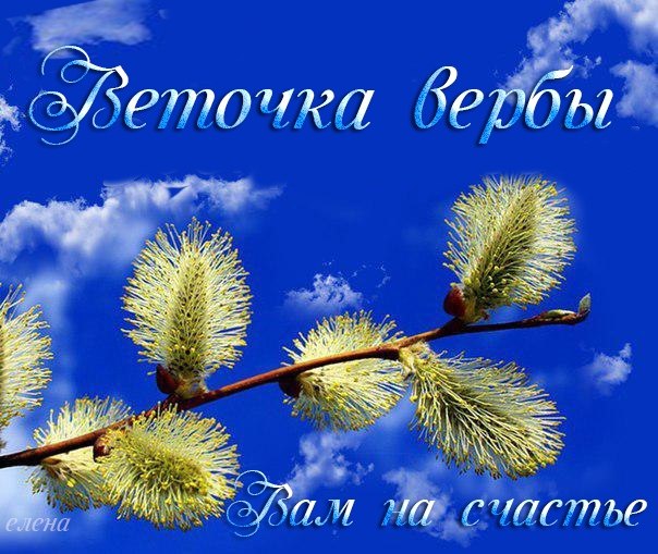 Вербное воскресенье. Солнце пробралось в щелочку между шторами и осветило мне лицо. От этого я ...