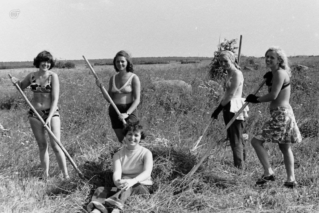    , 1976 .