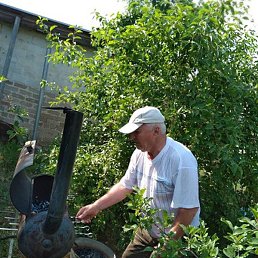 �������, ��������, 74 ����