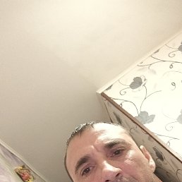 , 40, 