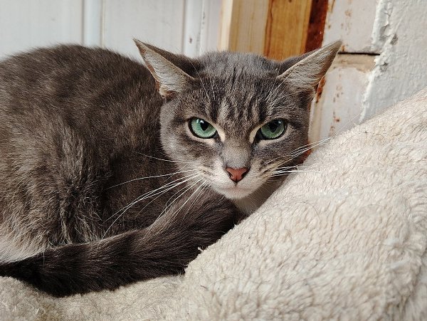 , . , .  ,  ,      .   ... - 5