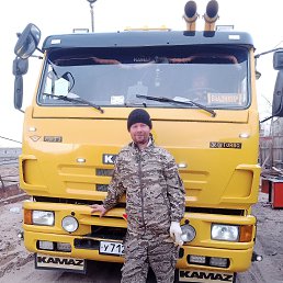, 37, 