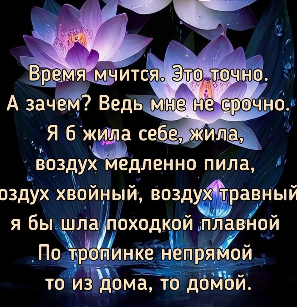 ПРИВЕТСТВИЯ и ПОЖЕЛАНИЯ, открытки на каждый день. опубликовал пост от 5  марта 2024 в 22:27 | Фотострана | Пост №2674503805