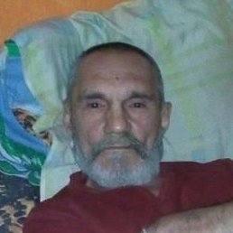 �����, ������, 65 ���