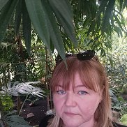 , 41 , 