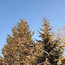 ���� �����, ������, 50 ��� - ��������� 1 ������� 2024 � ������ ���� ����������