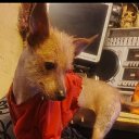 ���� ����, ������-��-����, 37 ��� - ��������� 16 ������� 2025