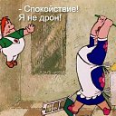 ���� ������, ����, 43 ���� - ��������� 4 ������� 2023 � ������ ���� ����������