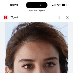 ���� ������, �����-���������, 45 ��� - ��������� 13 ���� 2024