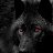 ���� Wolf, ������, 53 ���� - ��������� 22 ������ 2025