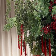 �����, 57 ���, �����������