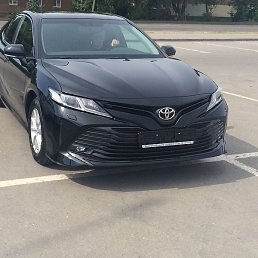 �����, �������, 41 ���