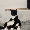 ���� M�����, ������, 39 ��� - ��������� 16 ������ 2026 � ������ ���� ����������