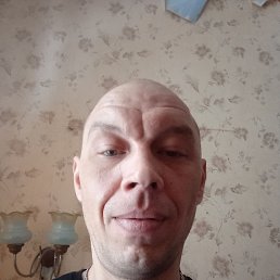 , 37, 