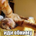 ���� �������, ��������� - ��������� 2 ������ 2024 � ������ ���� ����������