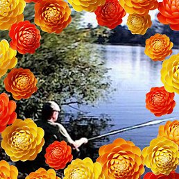 ������, ���, 51 ���