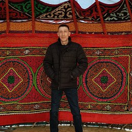 , 41, 