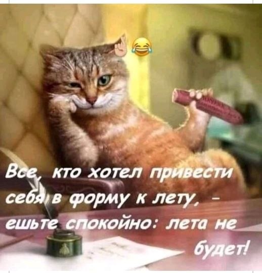  ***** - 16  2024  01:28