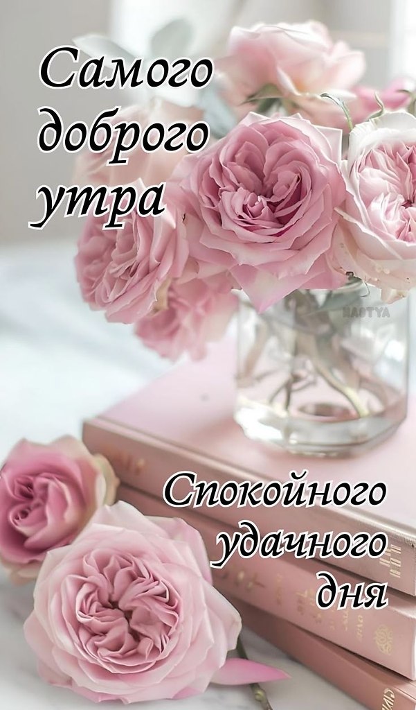   ,    . - 5  2025  23:14 - 7