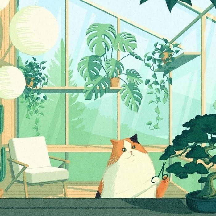 ���-�� ��� �������� ��� ����